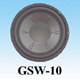 GSW 10